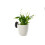 Hedgehog Plant Pot Hanger 5