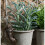 Dachshund Plant Pot Hanger 3