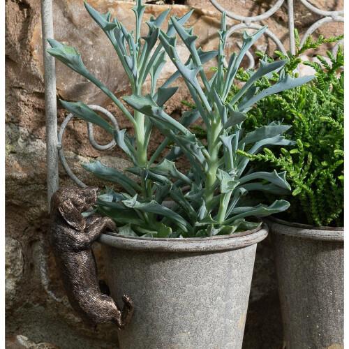 Dachshund Plant Pot Hanger 2