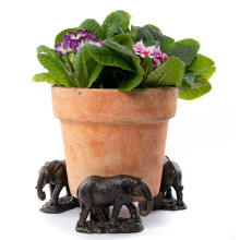 Elephant Plant Pot Feet - Set of 3