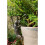 Dachshund Plant Pot Hanger 2