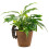 Dachshund Plant Pot Hanger 5