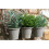 Dachshund Plant Pot Hanger 7