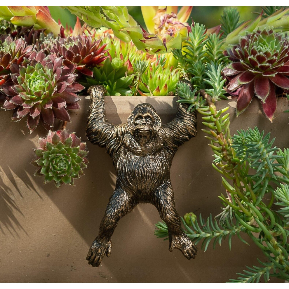 B&Q - Orangutan Plant Pot HangerL11.5 X W7 X H5.5 Cm - Image 3