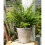 Dachshund Plant Pot Hanger 6