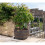 Rose Plant Pot Feet - Set of 3 9
