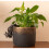 Red Squirrel Plant Pot Hanger 2