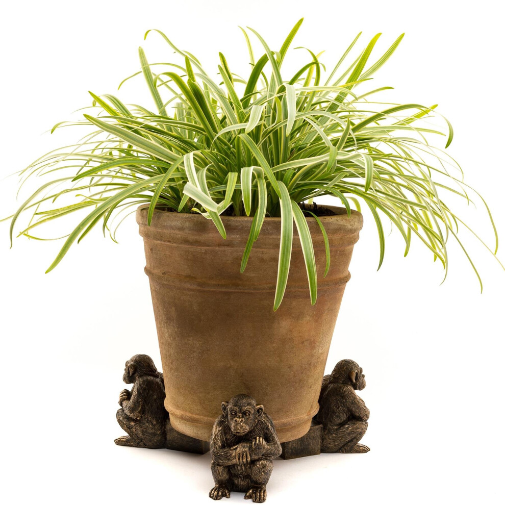 B&Q - Chimpanzee Plant Pot FeetSet Of 3L9.5 X W6.5 X H9 Cm - Image 3