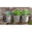 Red Squirrel Plant Pot Hanger 8