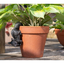 Red Squirrel Plant Pot Hanger