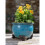 Rose Plant Pot Feet - Set of 3 3