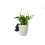Red Squirrel Plant Pot Hanger 7