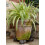 Hedgehog Plant Pot Feet - Set of 3 3