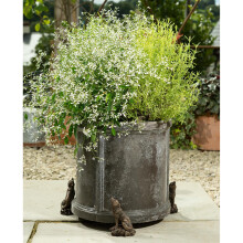 Howling Wolf Plant Pot Feet - Set of 3