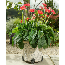 Bee Plant Pot Feet - Set of 3