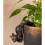 Red Squirrel Plant Pot Hanger 5