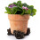 Rose Plant Pot Feet - Set of 3 1