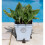 Fox Plant Pot Feet - Set of 3 7