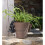 Red Squirrel Plant Pot Hanger 9