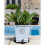 Fox Plant Pot Feet - Set of 3 5