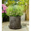 Bee Plant Pot Feet - Set of 3 3