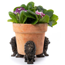 Lion Plant Pot Feet - Set of 3