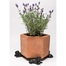 Resting British Bulldog Plant Pot Feet - Set of 3
