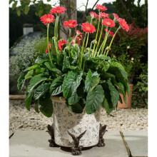 American Bald Eagle Plant Pot Feet - Set of 3