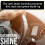 Pro-Kleen Pro-Kleen Cherry Snow Foam, Nilfisk Lance, Dashboard Shine Spray 9