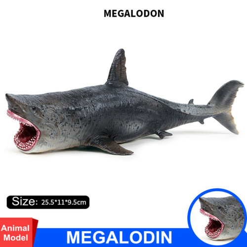 Megalodon Σχήμα Αρχαίος καρχαρίας PVC μοντέλο παιχνίδι δώρο 2