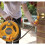 Hozelock Hozelock Micro Hose Reel με λάστιχο σωλήνα σωλήνα κάτοχος φυτά πότισμα Εξωτερική 3