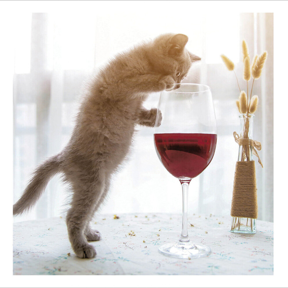 Just One Glass Wine Cat Art Photographs Greeting Card Cattitude Range Cards