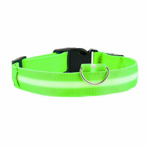 (Green, S) USB Rechargeable LED Flashing Luminous Safety Night Light Up Dog Pet Collar