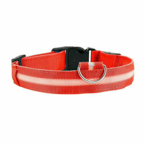 (Red, M) Battery Operated LED Flashing Luminous Safety Night Light Up Dog Pet Collar