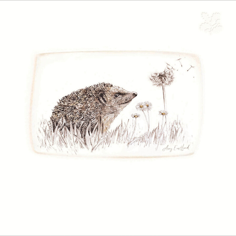 National Trust Hedgehog Embossed Artistic Greeting Card Woodmansterne Cards