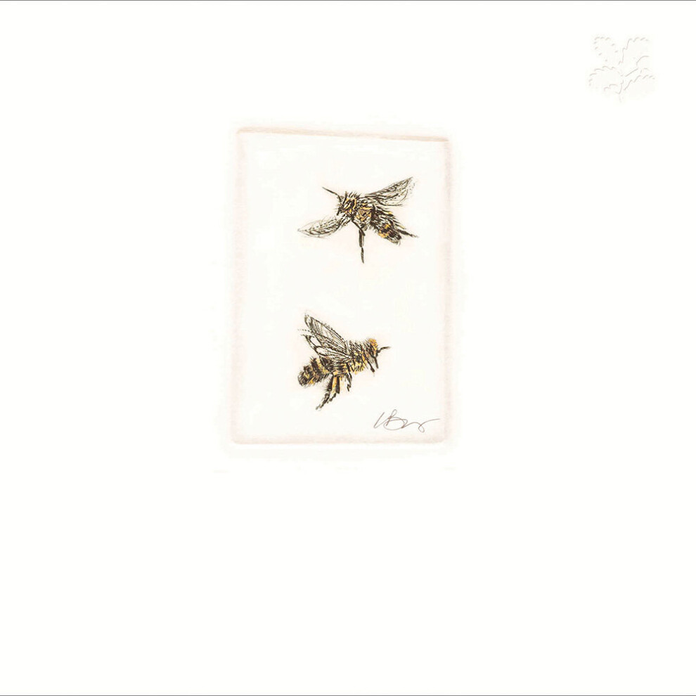 National Trust Honeybee Embossed Artistic Greeting Card Woodmansterne Cards