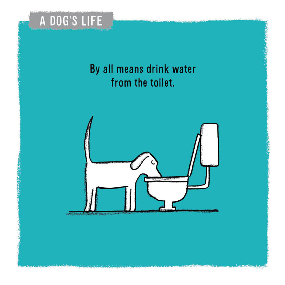 A Dog's Life Drink Water From The Toilet Greeting Card Woodmansterne Cards