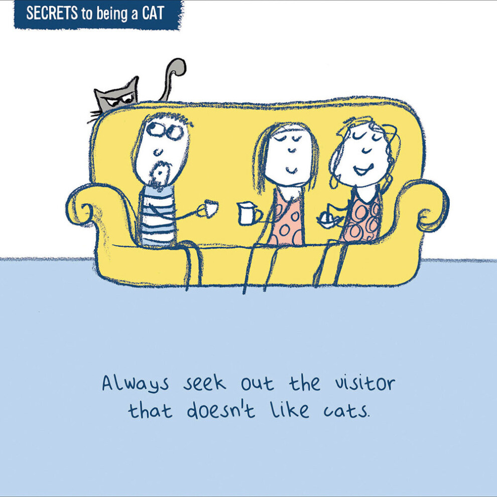 Secrets To Being A Cat Who Doesn't Like Cats Greeting Card Woodmansterne Cards