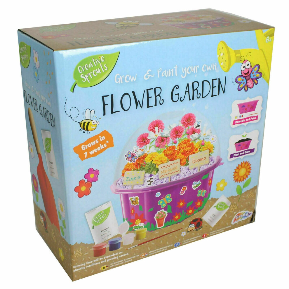 Grow Your Own Bee Flower Garden Childrens Kids Decorate Learning Science Toy