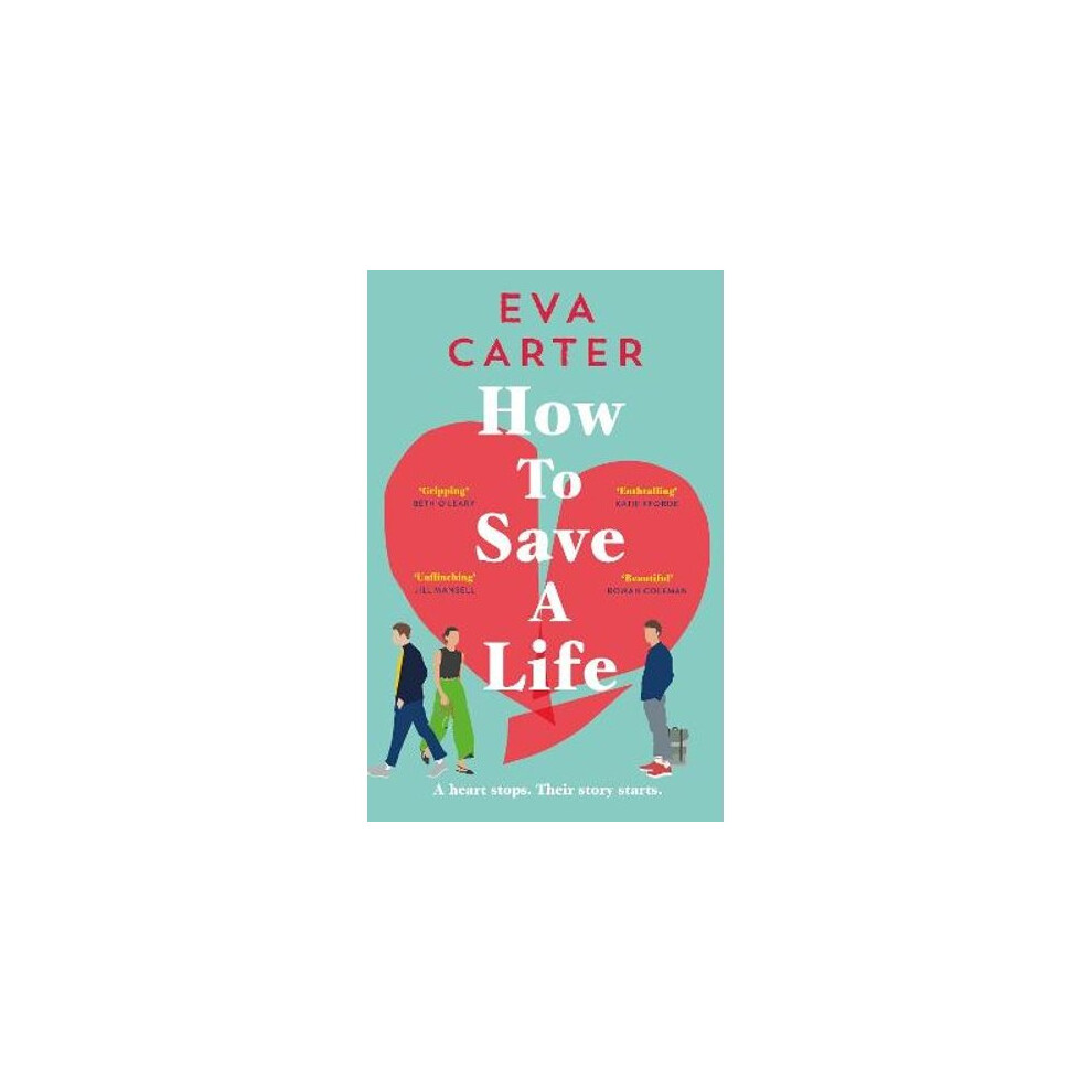 How to Save a Life | Hardback