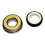 Plastica Nadorself Mechanical Seal 2