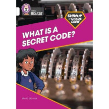 Shinoy and the Chaos Crew: What is a secret code?