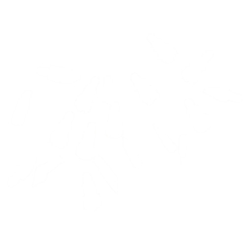 Antex Antex Pyro-Master Replacement Tip Pack of 19