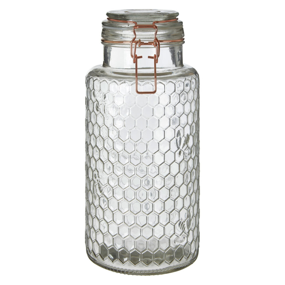 Premier Housewares Apiary Rose Gold Wire Large Glass Jar