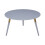 Premier Housewares Light Grey Coffee Table, Triangular Large End Table, Long Lasting Round Top Coffee Table for Indoor, Outdoor 1