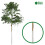 Elixir Garden Supplies (50, Guards + Canes) Clear Tree Guards 24" Professional Shrub/Sapling Protector With Optional Canes & Ties 5