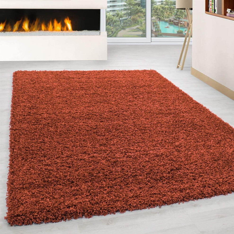 (Terracotta, 120cm x 170cm) Abaseen Carpet Floor Size Extra New Modern Rugs