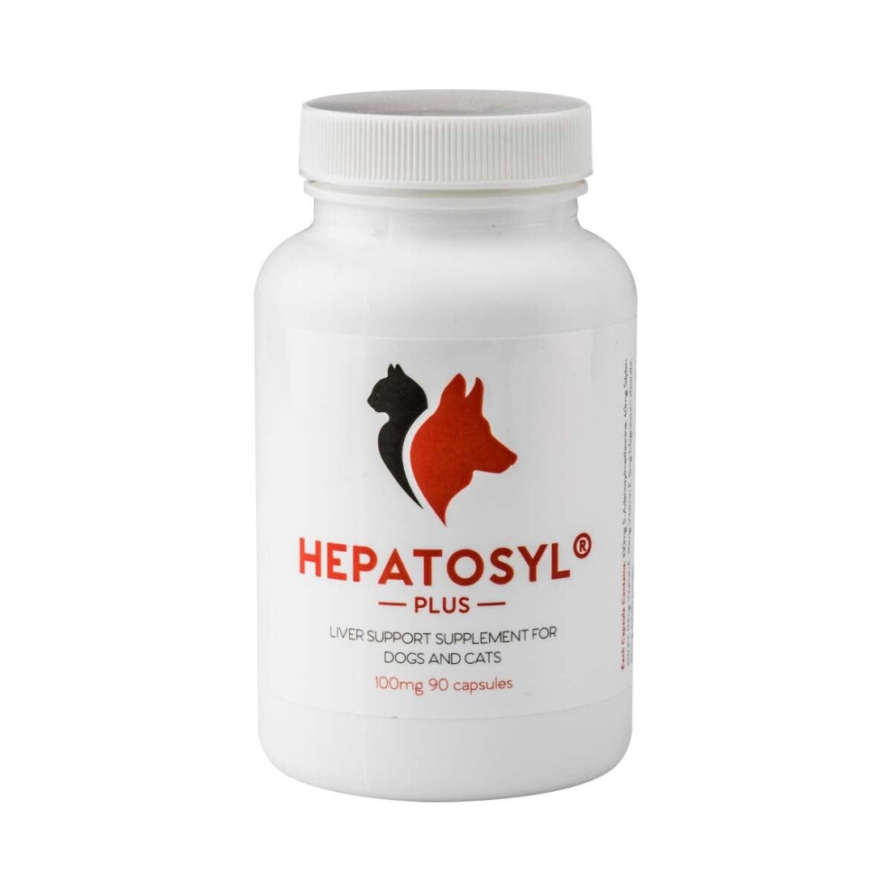 Hepatosyl Plus Liver Support Supplement For Cats & Dogs 100mg Pack 90