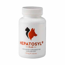 Hepatosyl Plus Liver Support Supplement For Cats & Dogs 100mg Pack 30