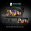 8.8" Android 10.0 IPS Car Stereo CarPlay DAB+ Sat Nav For BMW 3er E90 E91 E92 E93 5er E60 E61 E63 E64 16